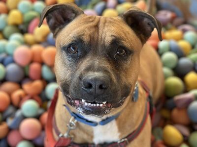 Hello my name is Nigel