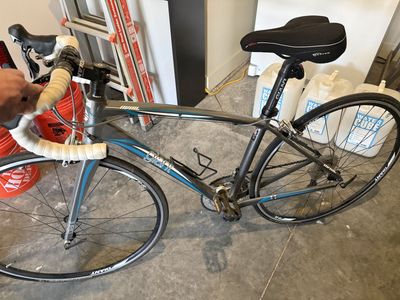 Giant Avail Bike