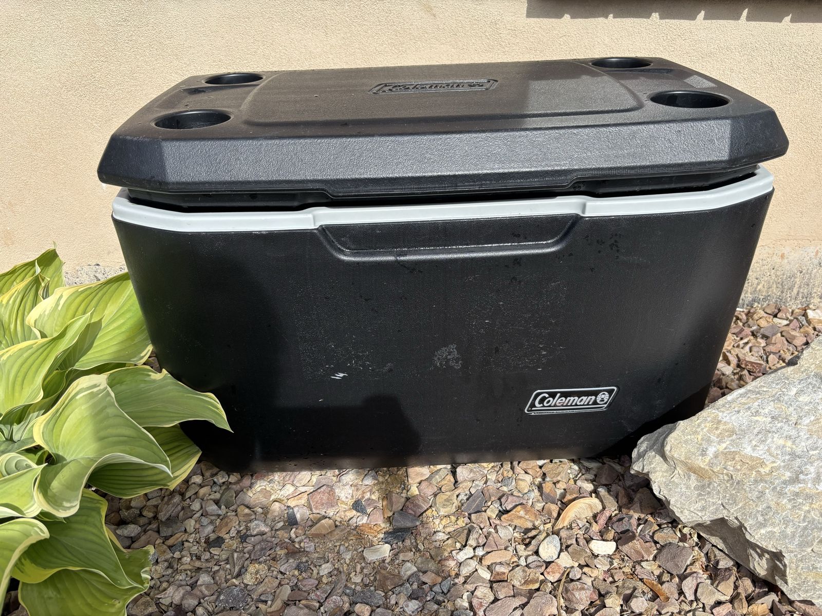 Coleman cooler