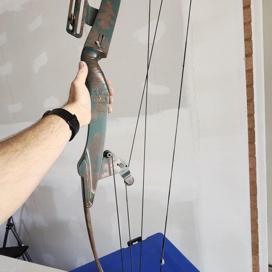 Bear Whitetail Hunter Compound Bow
