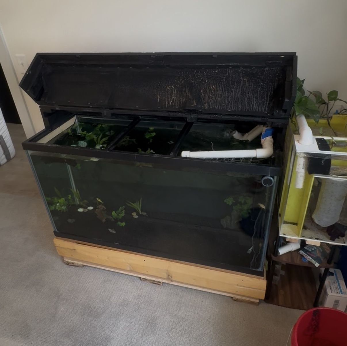 90 gallon Large Glass Fish Tank Aquarium with Wooden Base and Top Canopy