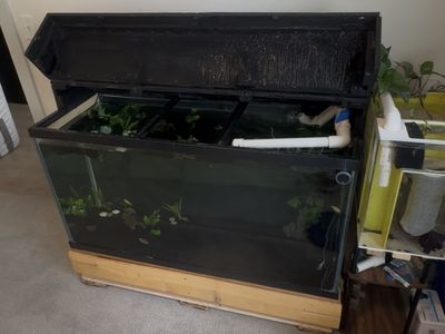 90 gallon Large Glass Fish Tank Aquarium with Wooden Base and Top Canopy