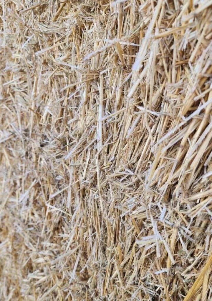 Straw Bales Big