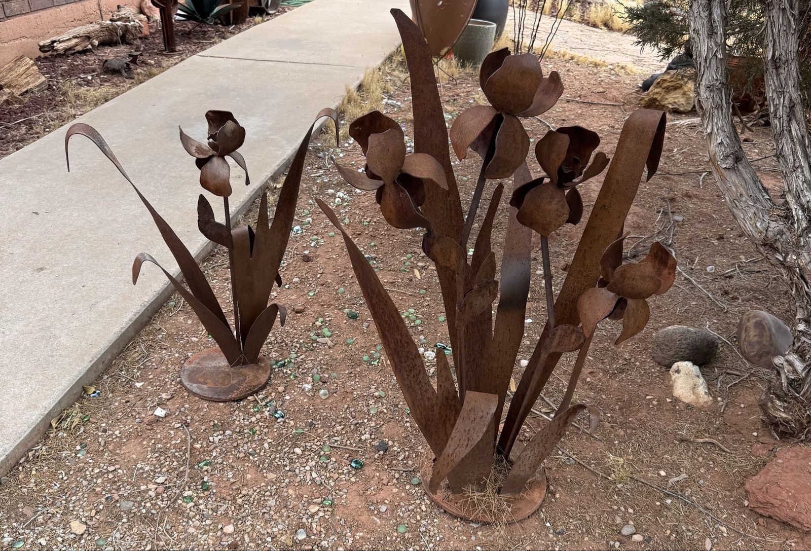 Main image 6