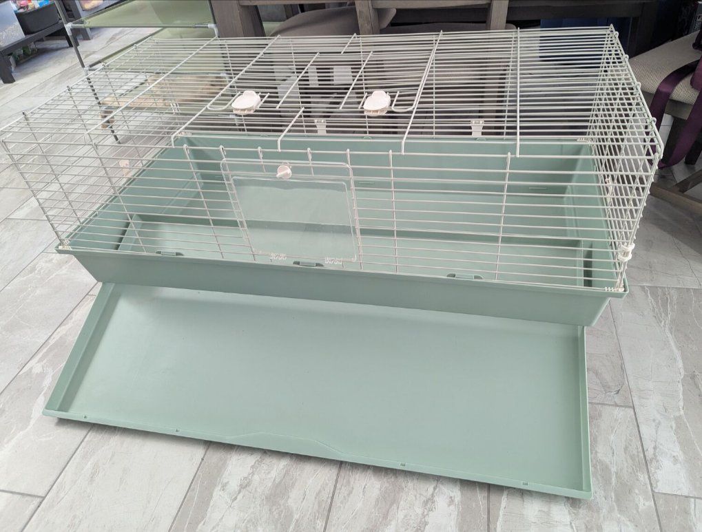 Main image 4