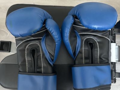 Everlast 12oz Blue Boxing Gloves - Used