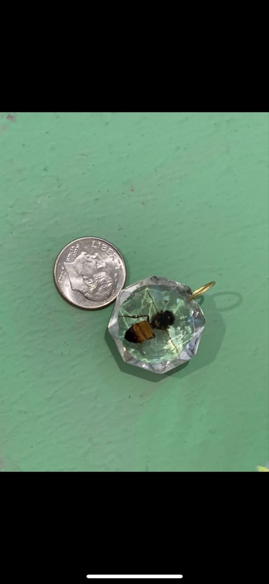 Handcrafted Bee Resin Pendants - Unique Insect Specimen Jewelry Charm