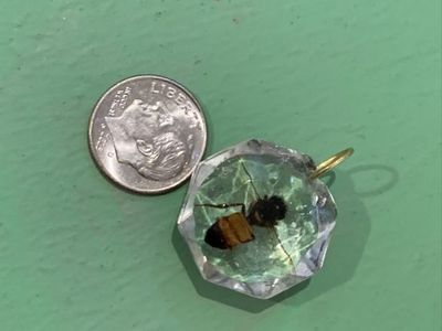 Handcrafted Bee Resin Pendants - Unique Insect Specimen Jewelry Charm