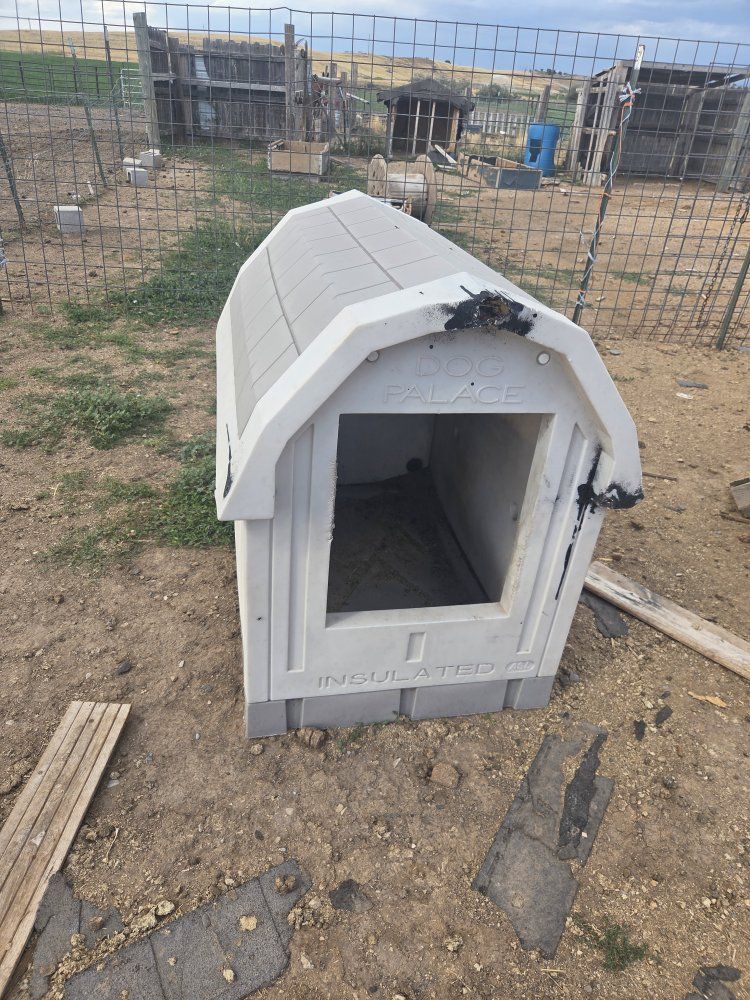 insulated dog houses 