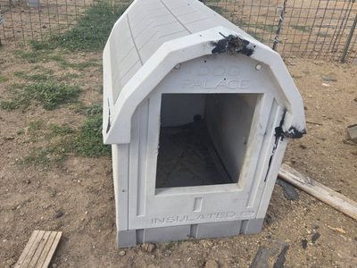 insulated dog houses
