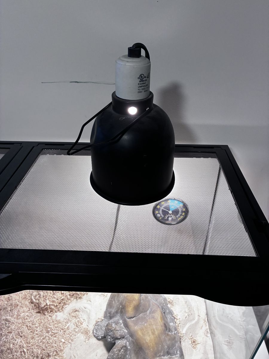 Main image 5
