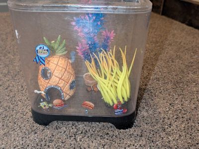 SpongeBob SquarePants Mini Aquarium Kit with Pineapple House and Decorations