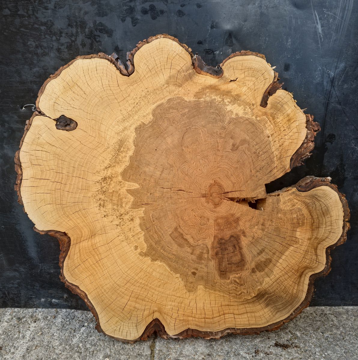 Kiln dried Hard Maple round Live Edge Wood Slab 31"×30" across/diameter  3" thick