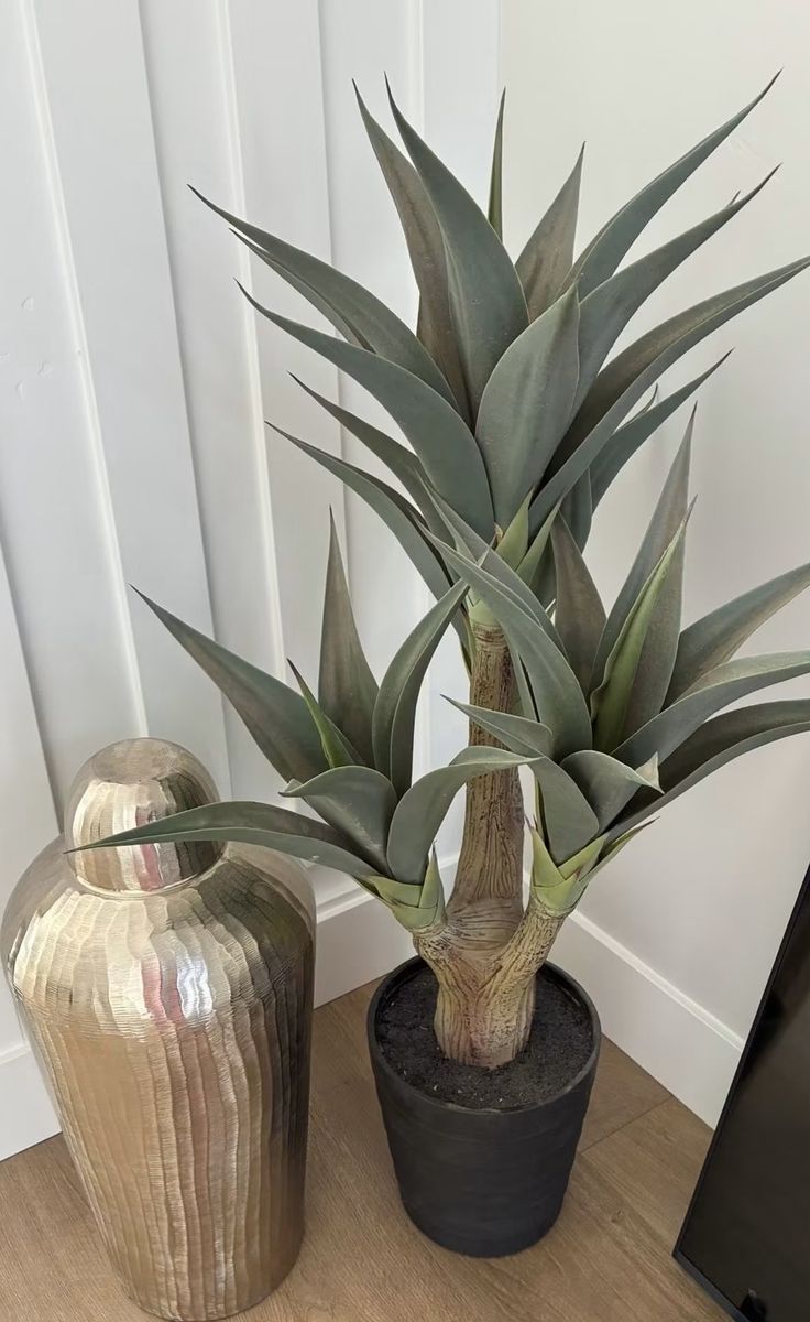 Artificial Potted Agave Plant Accent Decor