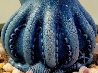 Octopi, succulent, air plant, pens, brush, trinket