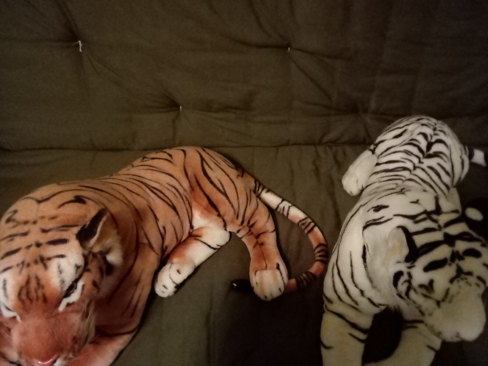 Tigers, stuffed realistic