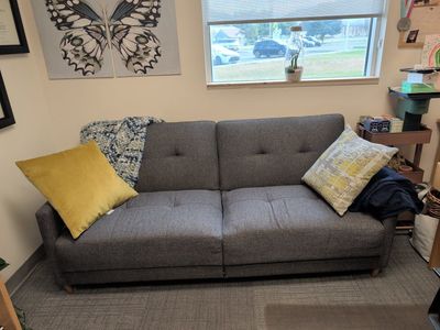 Gray Futon Couch