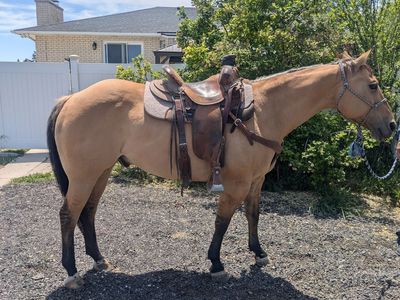 Rope horse
