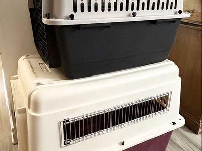 Dog crates