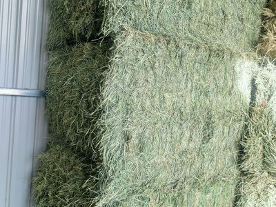 Premium Alfalfa-Grass Mix Hay - 3x4x8 Bales - Pickup or Delivery
