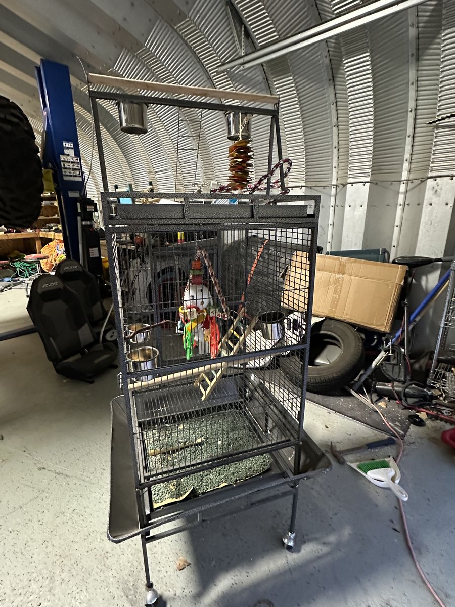 Bird Cage With toys, Perches, Etc.