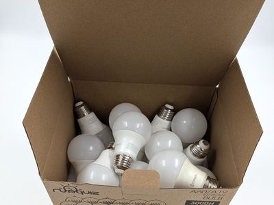 Ecosmart LED 60 Watt Light Bulbs 13 Pack