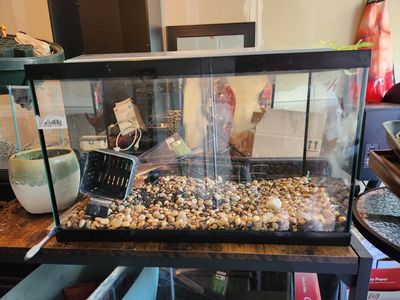 Aquarium Master 10g tank(s)