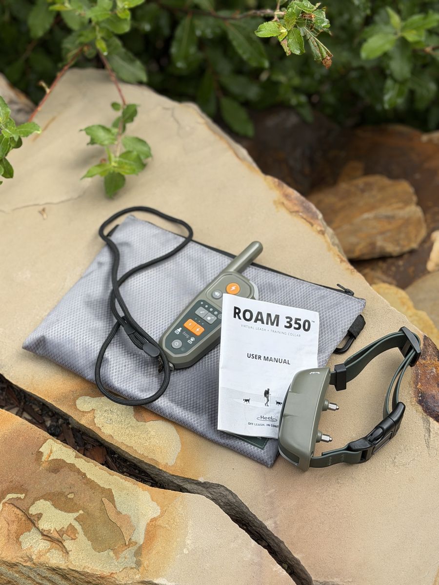 Heel-Dog Collar