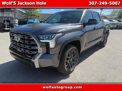 2025 Toyota Tundra Platinum