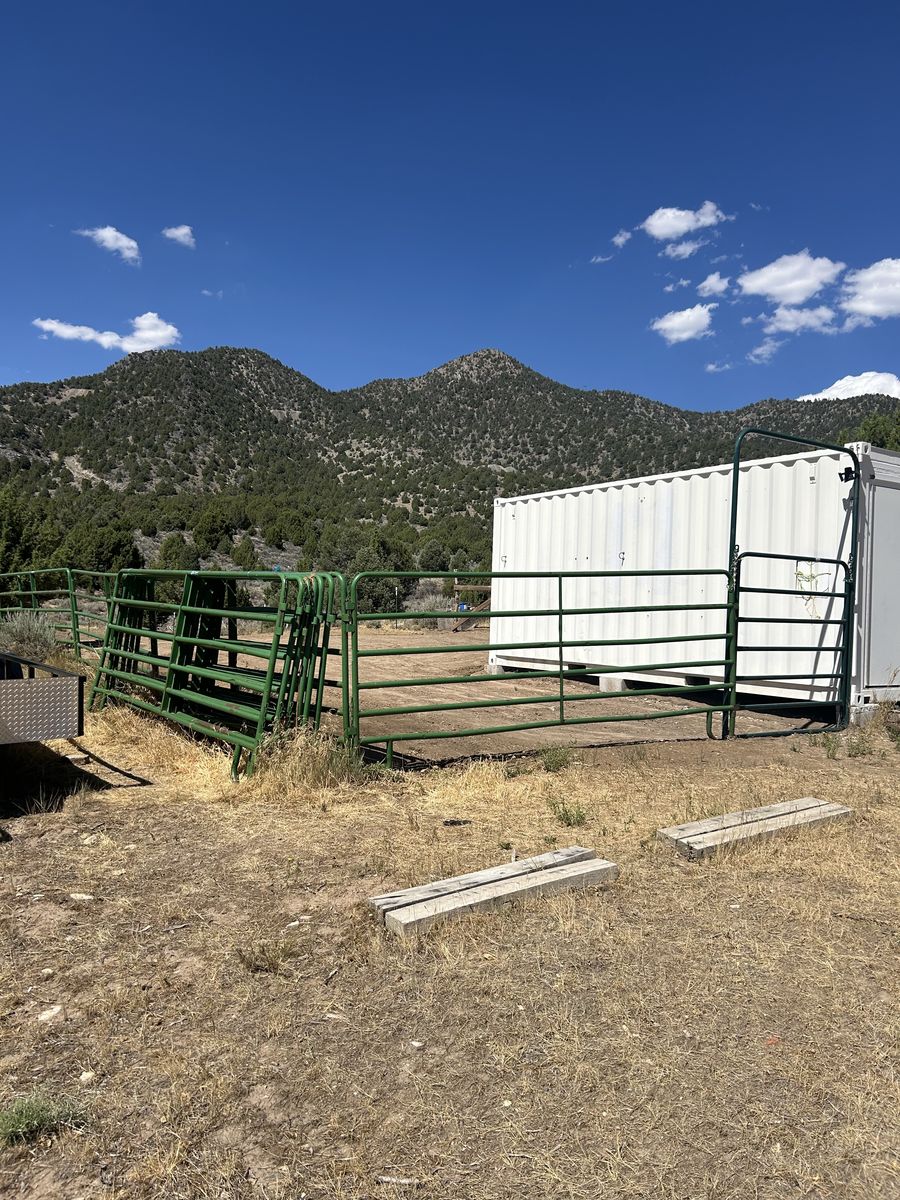 Horse or livestock panels 100.00 OBO