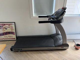 Treadmill True Fitness Performance 300