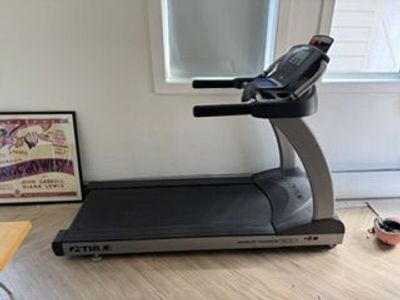 Treadmill True Fitness Performance 300