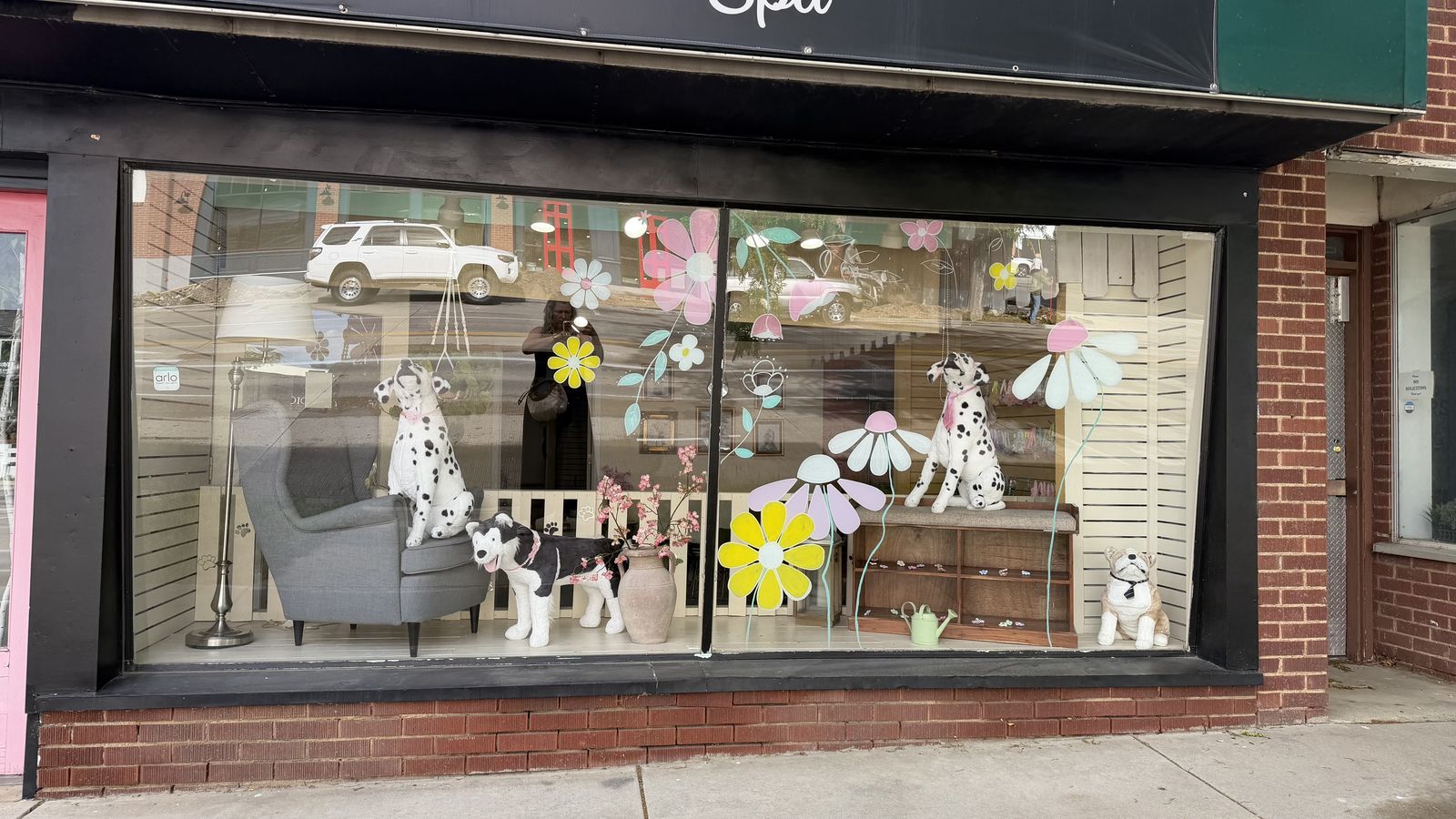 Own your Own Pet Grooming Business