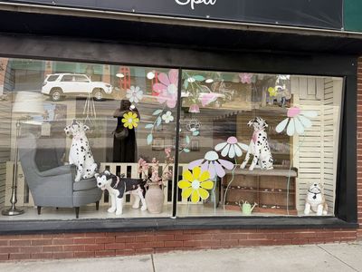Own your Own Pet Grooming Business