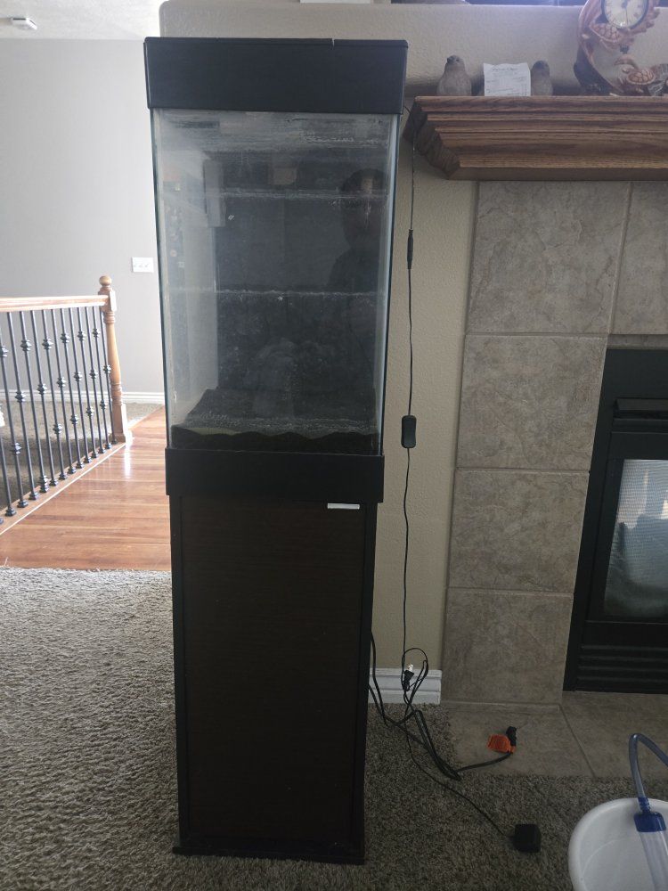Aquarium with stand
