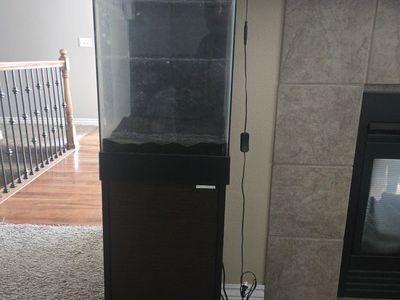 Aquarium with stand