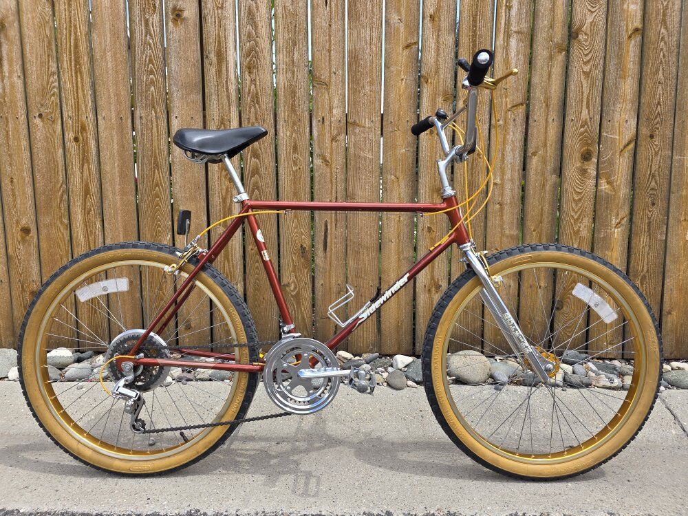 1982 Schwinn Sidewinder SW1-9, 10-Speed MTB