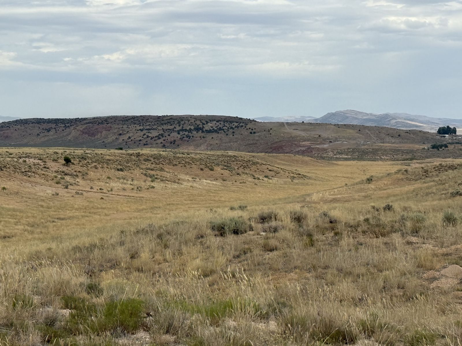 Beautiful 5-acres just south of Yuba Lake