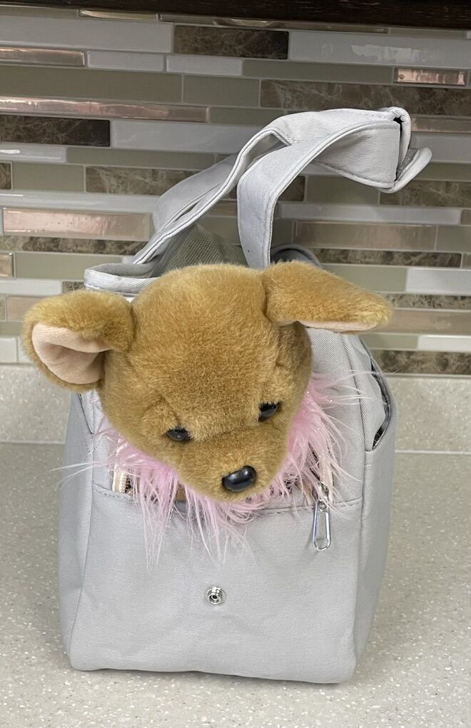 Soft Sided Pet Carrier Tote Bag- New