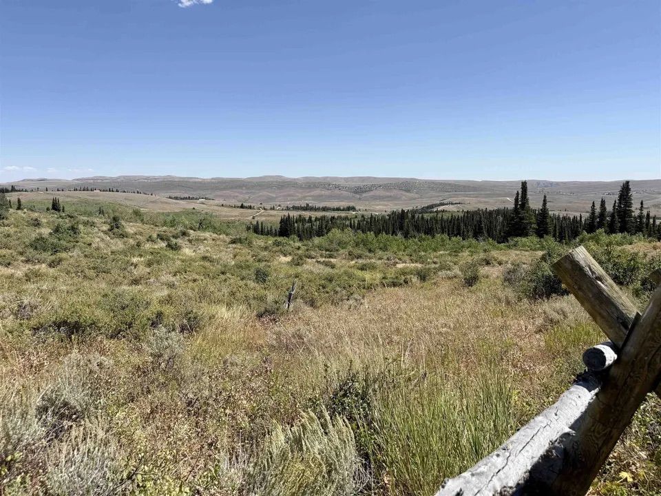 Main image 42