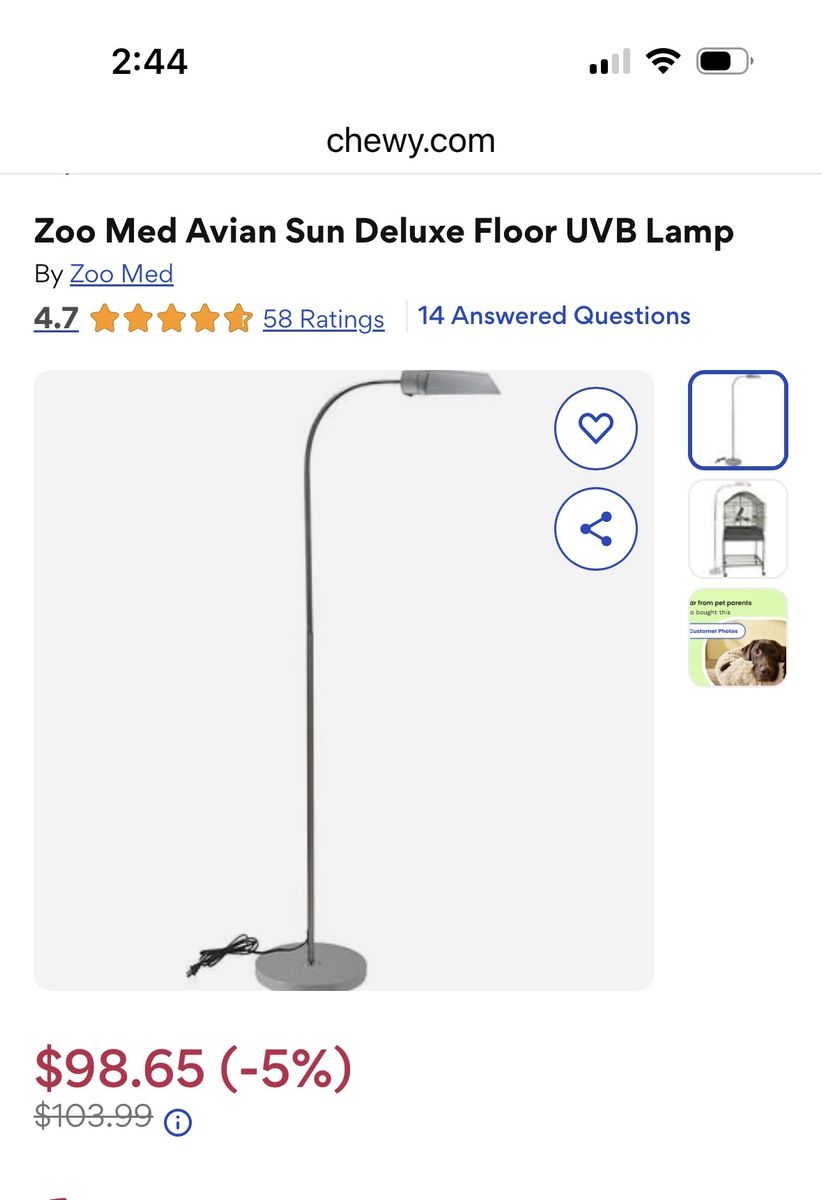Zoo Med Avian Sun Deluxe Floor UVA/ UVB Lamp for Birds