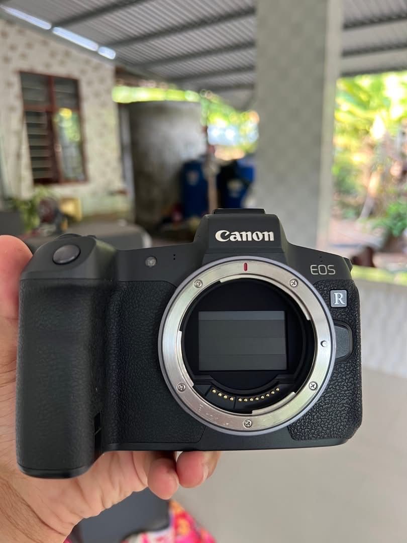 Canon R 840$, 5d iv 790$, 7D 175$