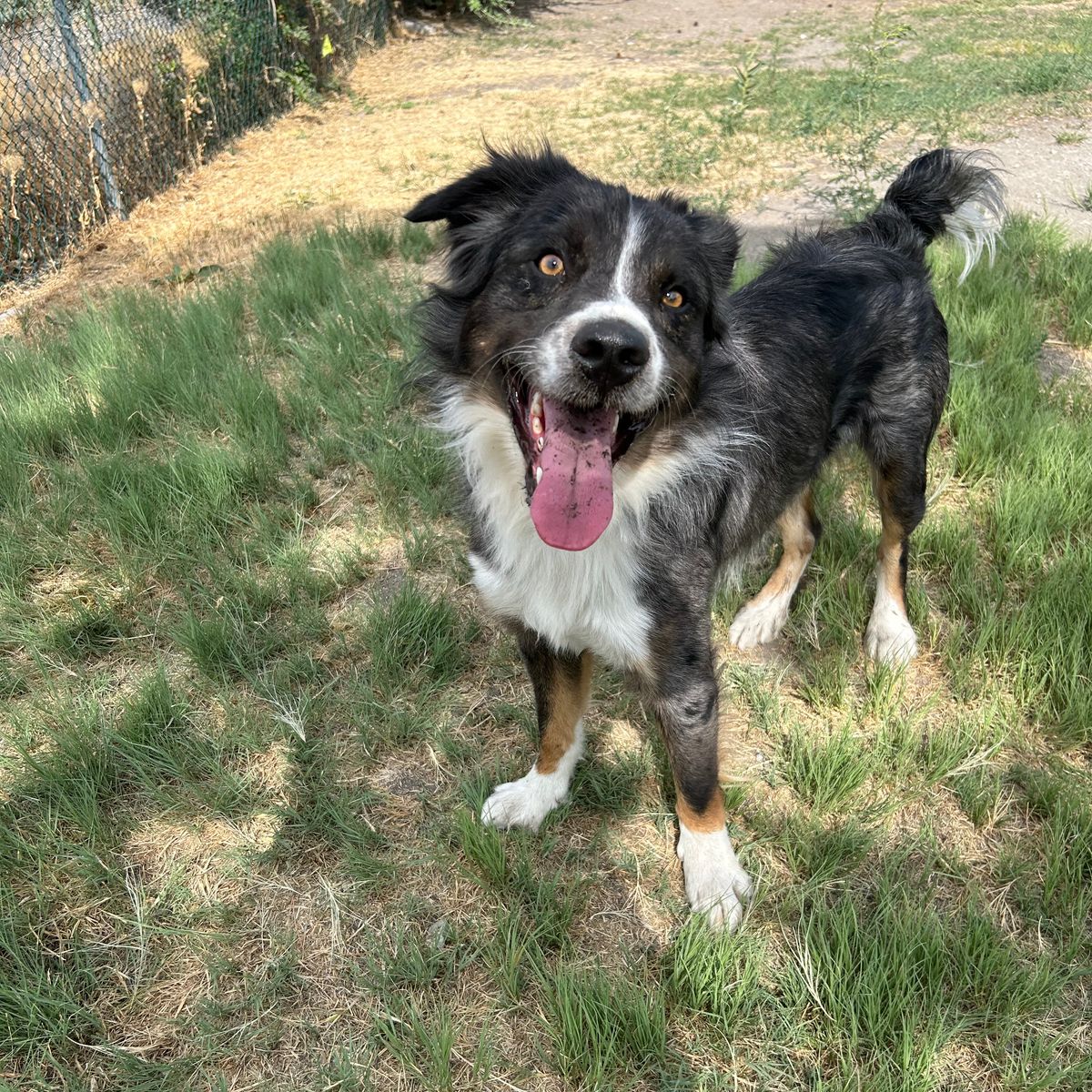 Buster