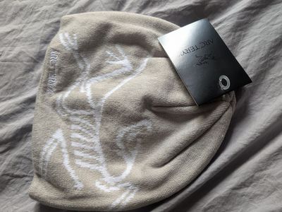 Gray Arc'teryx beanie