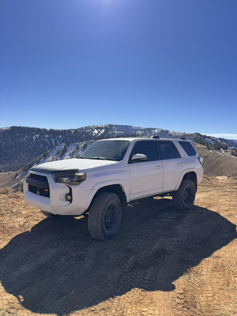 2019 Toyota 4Runner SR5 Premium