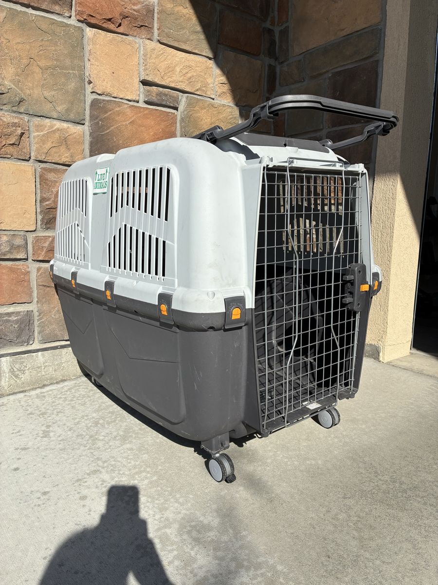 Midwest Skudo Plastic Travel Carrier for Dogs, Large, 36.25" L X 24.88" W X 27.25" H