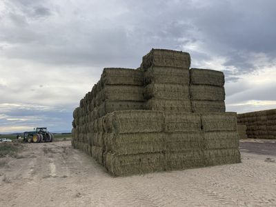 3x4 Bales