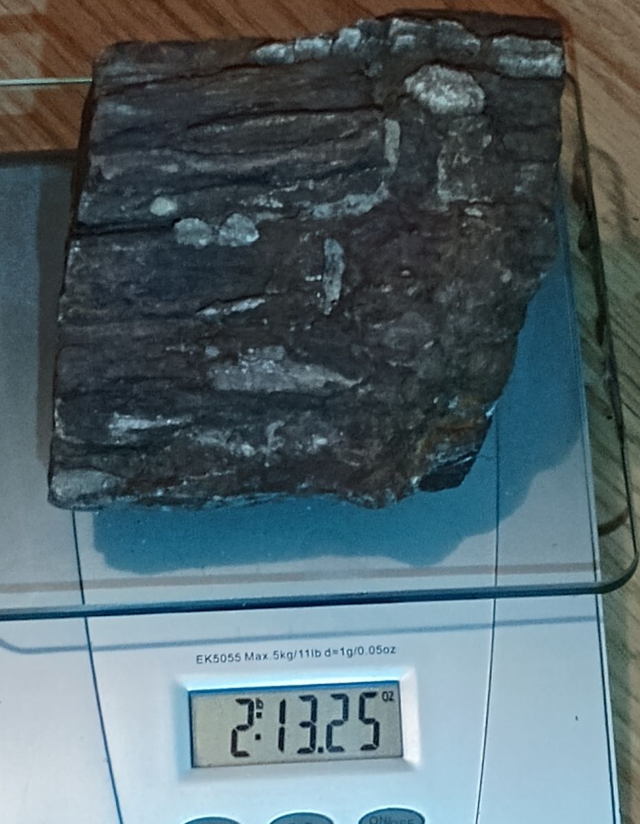 2 Pound Piece Of Colorful Petrified Wood