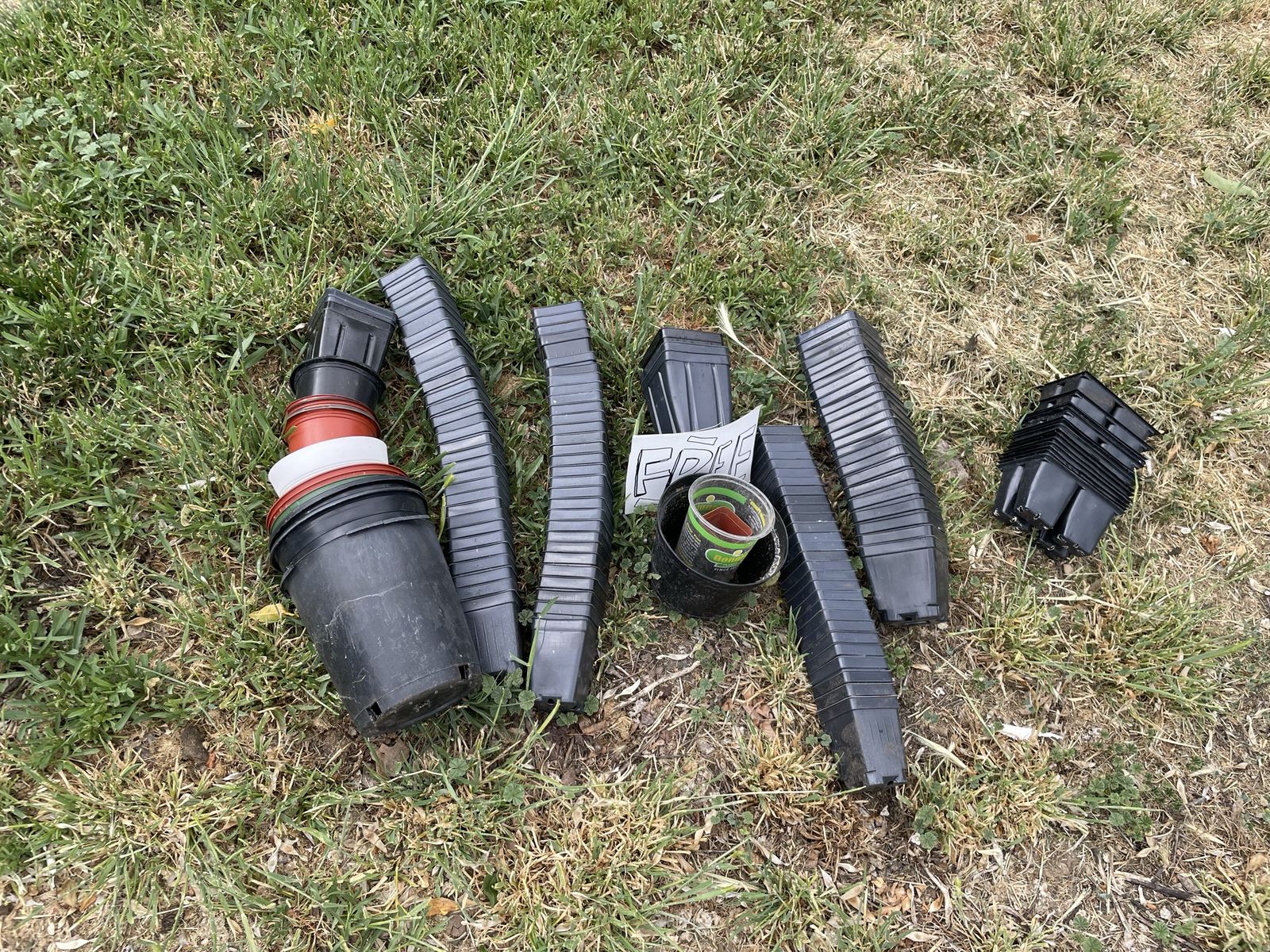 Free Plant Starter Pots