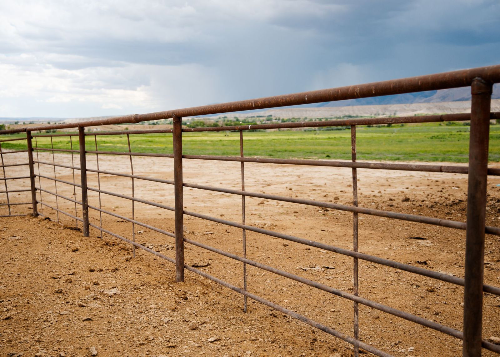 6-Rail Continuous Fence Panels 20ft (14-Gauge Steel) – Livestock, Cattle & Horse Fence